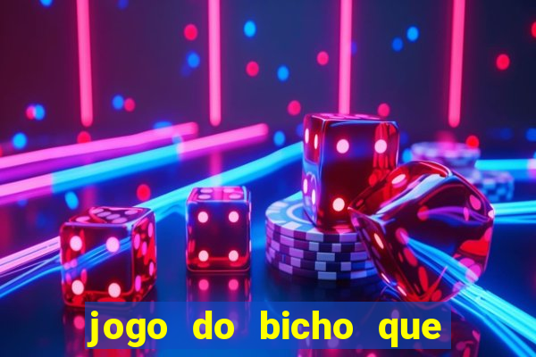 jogo do bicho que paga no pix